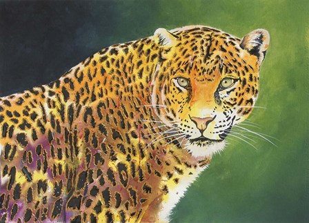 The Stare by Graeme Stevenson art print