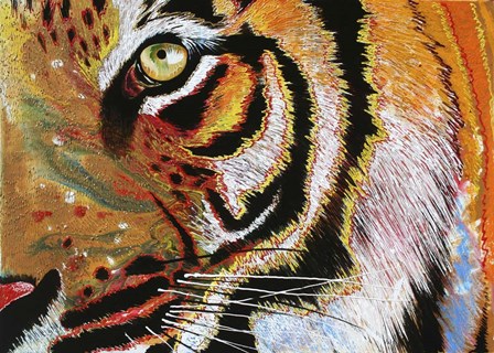 Tiger Burning Bright by Graeme Stevenson art print