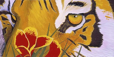 Tiger Eye by Graeme Stevenson art print