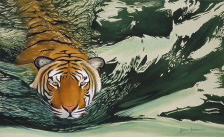 Tiger Waters by Graeme Stevenson art print