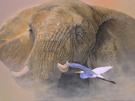 Young Matriarch by Graeme Stevenson art print