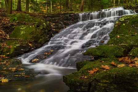 Abbey Pond Cascades by Brenda Petrella Photography LLC art print
