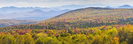 Autumn In Vermont by Brenda Petrella Photography LLC art print