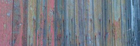 Barn Board by Brenda Petrella Photography LLC art print