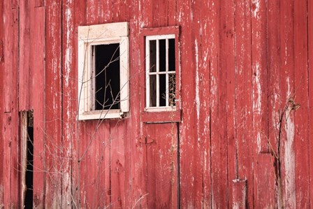 Barn Windows by Brenda Petrella Photography LLC art print