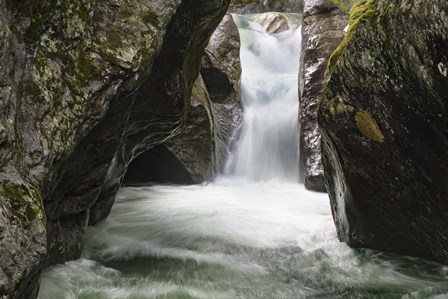 Carved by Brenda Petrella Photography LLC art print