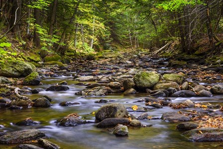 Chase Brook 2 by Brenda Petrella Photography LLC art print