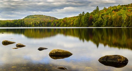 Fall Reflection On Ricker Pond by Brenda Petrella Photography LLC art print