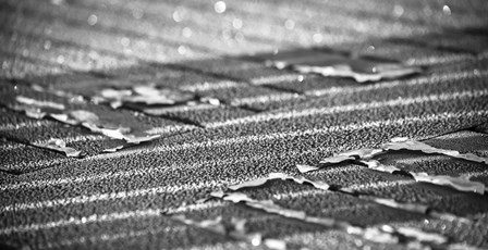 Frost Lines by Brenda Petrella Photography LLC art print