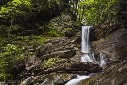 Gentle Cascade by Brenda Petrella Photography LLC art print