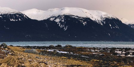Grassy Shore by Brenda Petrella Photography LLC art print