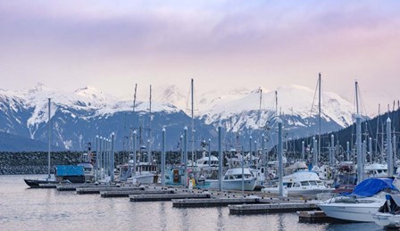 Harbor In Haines by Brenda Petrella Photography LLC art print
