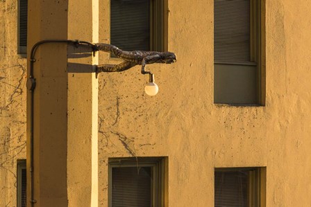 Horizontal by Brenda Petrella Photography LLC art print