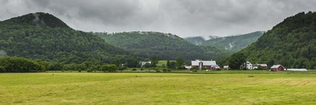 Local Farm by Brenda Petrella Photography LLC art print