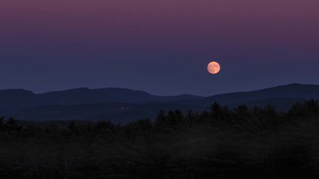 Moon Over Moose Mountain by Brenda Petrella Photography LLC art print