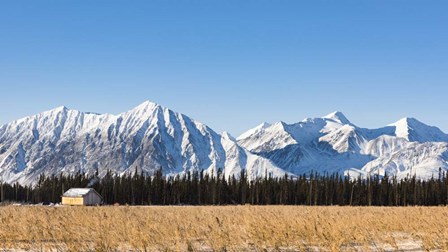 Mountainside Camp by Brenda Petrella Photography LLC art print