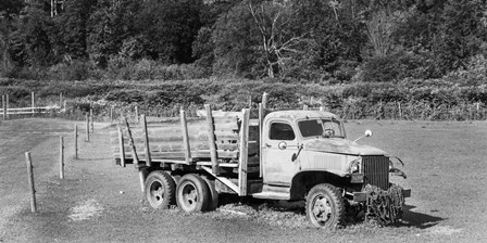 Old Reliable - B&amp;W by Brenda Petrella Photography LLC art print