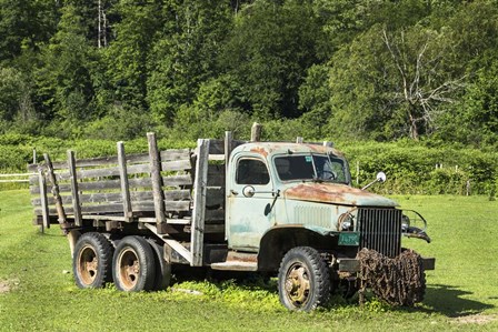 Old Reliable - Color by Brenda Petrella Photography LLC art print