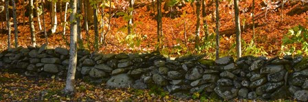 Old Rock Wall by Brenda Petrella Photography LLC art print
