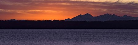 Olympic Mountain Sunset by Brenda Petrella Photography LLC art print