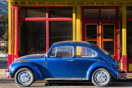 Primary Colors by Brenda Petrella Photography LLC art print