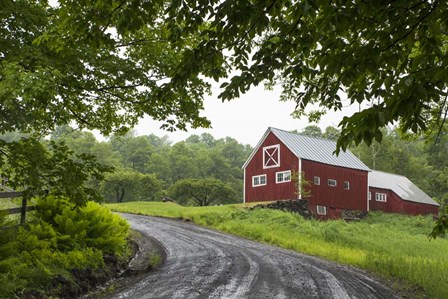 Red Barn by Brenda Petrella Photography LLC art print