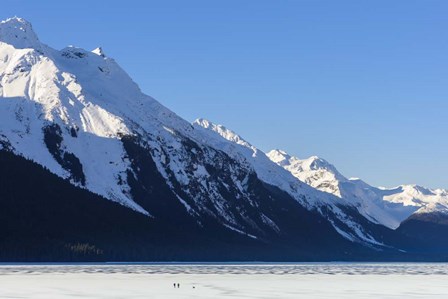 Saturday Morning Skate by Brenda Petrella Photography LLC art print