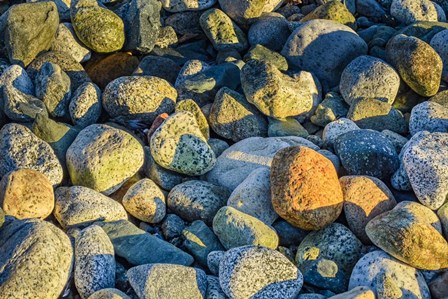 Shoreline Stones by Brenda Petrella Photography LLC art print