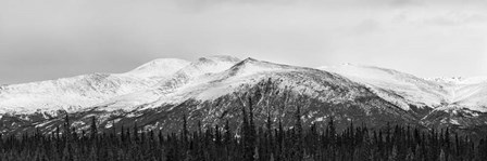 Snowscape by Brenda Petrella Photography LLC art print