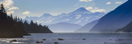 Taiya Inlet by Brenda Petrella Photography LLC art print