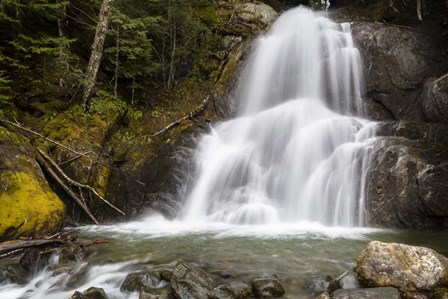 The Sound Of Falling Water by Brenda Petrella Photography LLC art print