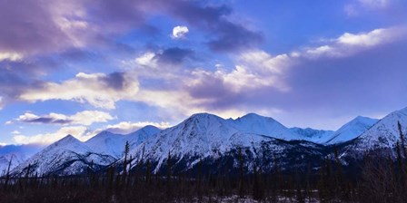 Time To Rest by Brenda Petrella Photography LLC art print