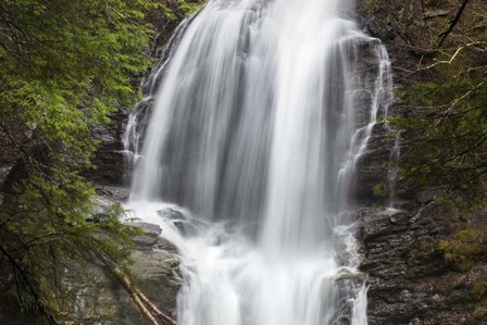 Tranquility by Brenda Petrella Photography LLC art print