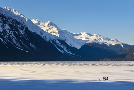 Walking Among Giants by Brenda Petrella Photography LLC art print