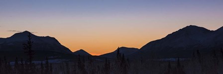 Yukon Winter Light by Brenda Petrella Photography LLC art print