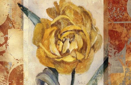 Golden Blossom 2 by Marietta Cohen art print