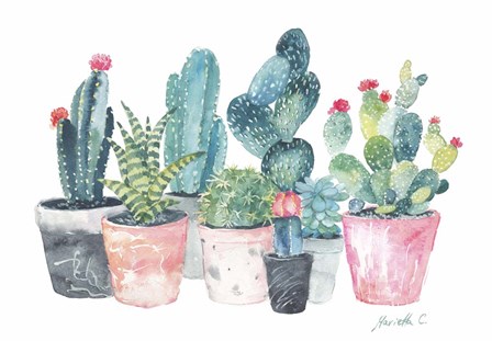 Cactus by Marietta Cohen art print