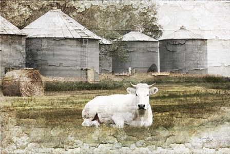 White Cow by Jennifer Pugh art print