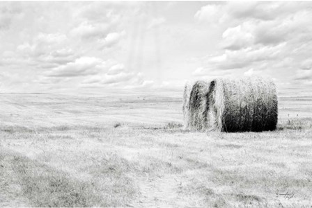 Hay Bales by Jennifer Pugh art print