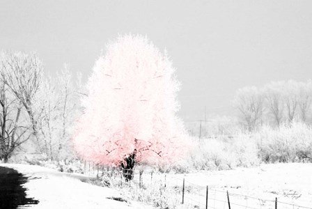 Pink Tree by Jennifer Pugh art print