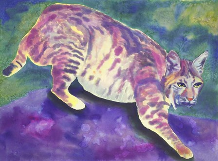 Bobcat by Carissa Luminess art print