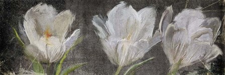 Tulip Triolet by Art Licensing Studio art print