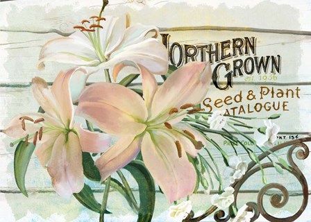 Farm Seed Lilies by Art Licensing Studio art print