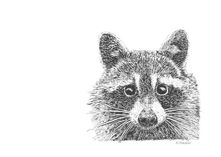 Raccoon by Let Your Art Soar art print