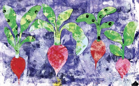 Radishes by Summer Tali Hilty art print