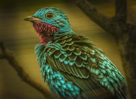 Colorfull Bird V by Duncan art print