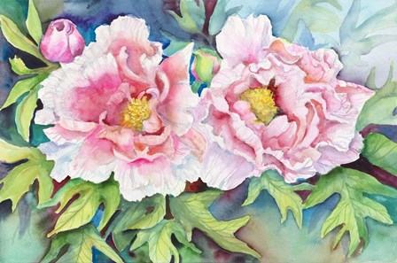 A Pair of Peonies by Joanne Porter art print