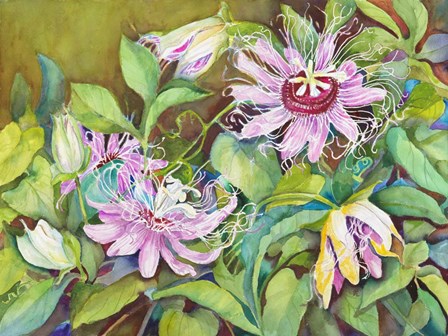 Passion Flower by Joanne Porter art print