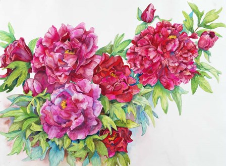 A Study of Red Peonies by Joanne Porter art print