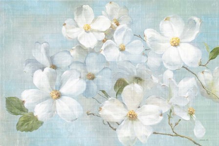 Indiness Blossoms Light by Danhui Nai art print